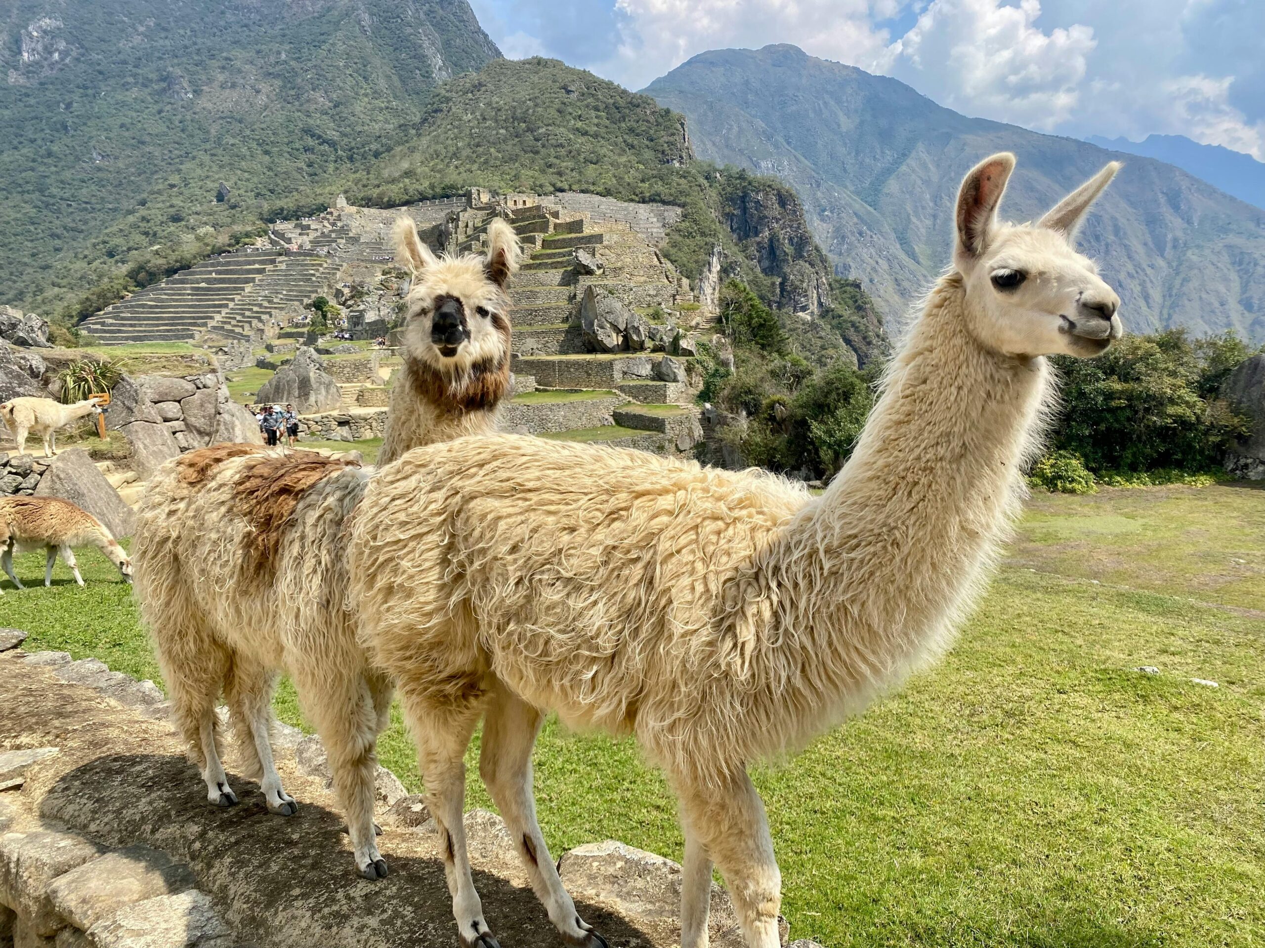 Excursión Machu Picchu Full Day - Image 2
